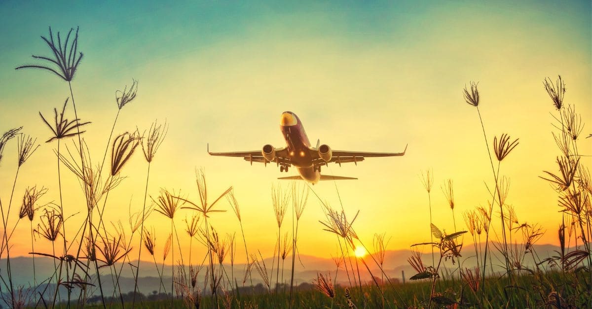 plane flying at sunset through crop field